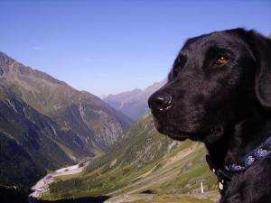 Bergwelt Stubai