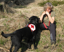 Flächensuche und Erste Hilfe Hund-Ausbildung