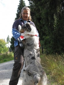 Flächensuchhund der Rettungshundestaffel Hof / Saale