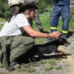 hundetraining-chur