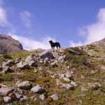 Österreich Stubaital