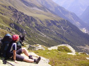 Hund im Stubai Tal 