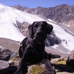 Stubaital-Gletscher